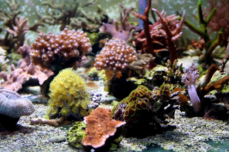 Killikus&reg; Fotographie